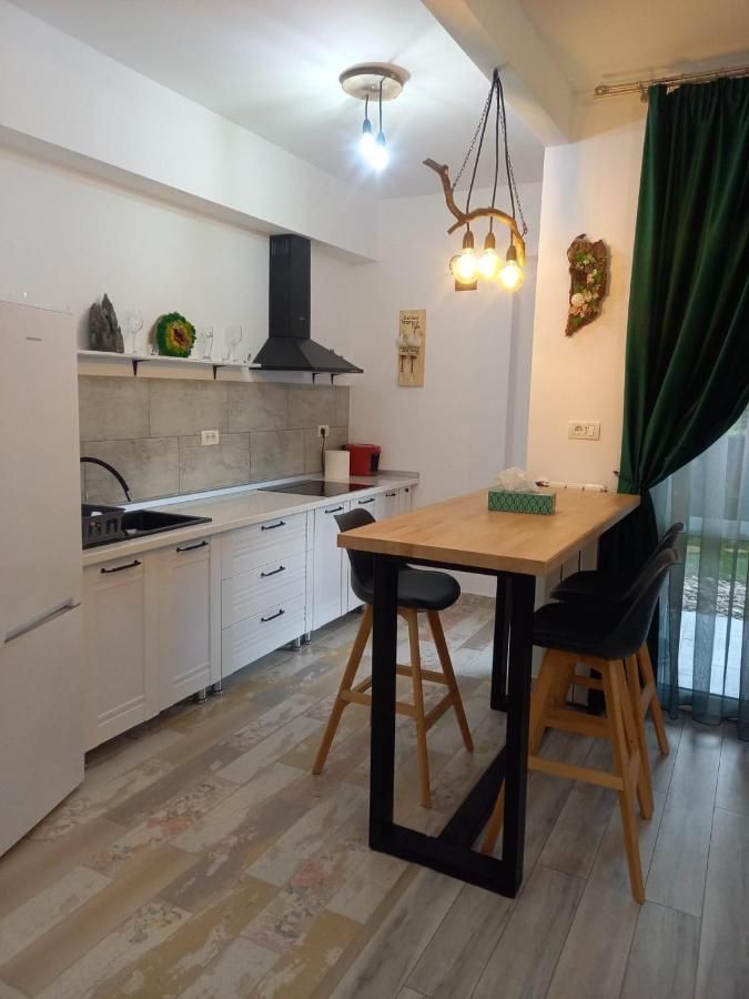 Belleview Garden Studio Apartment Sinaia Ngoại thất bức ảnh