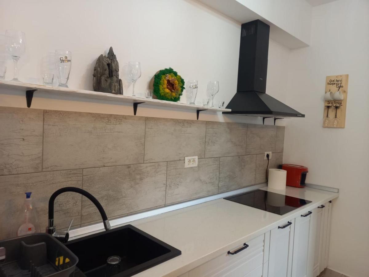 Belleview Garden Studio Apartment Sinaia Ngoại thất bức ảnh