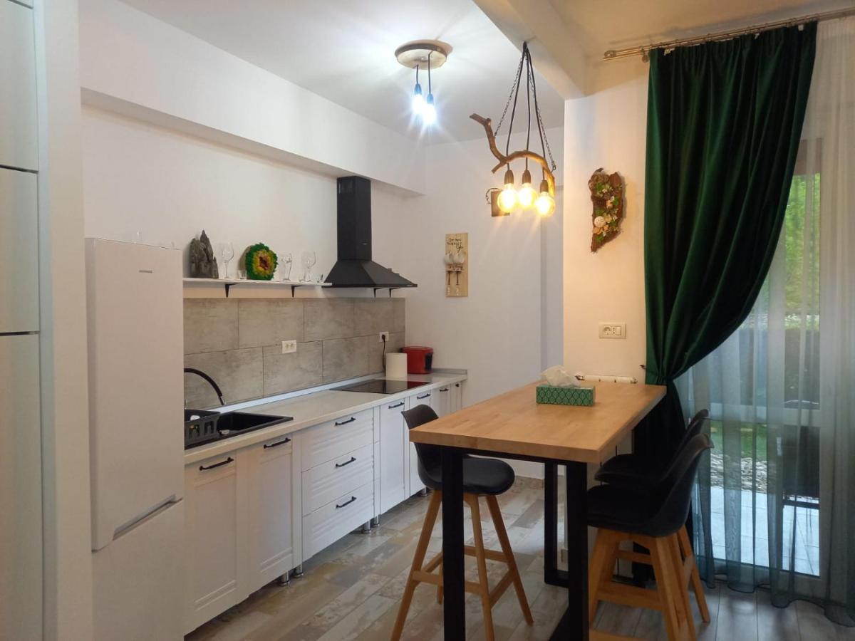 Belleview Garden Studio Apartment Sinaia Ngoại thất bức ảnh